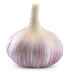 Fresh garlic bulbs isolated on transparent, with PNG. Garlic full macro