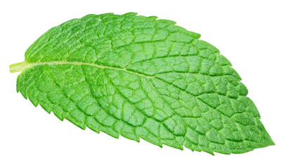 Mint leaves isolated on transparent. Mint leaves PNG. Mint full macro photo © URSA Star