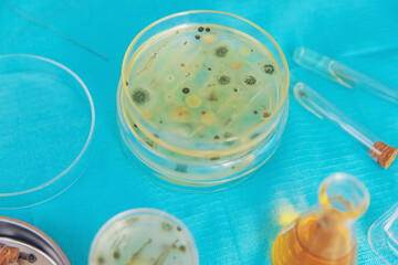 Research in the laboratory Petri dishes. Selective focus.