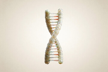 A Detailed DNA Double Helix Structure Illustration