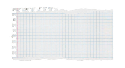 Torn graph paper with red margin line isolated on transparent background