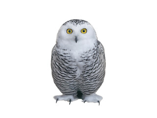 owl (Nyctea scandiaca) isolated on a white background
