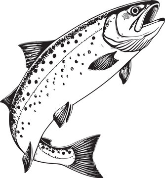 Salmon Fish Omega-3 Hand-drawn Sketch Drawing Vector Illustration, Line Linear Symbol Engraving Coloring Book, Black and White Isolated