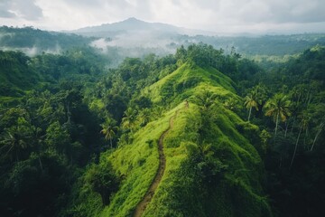A winding path leads through a lush green jungle with a misty mountain background.