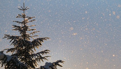 Shimmering snowy evergreen tree catching light against pale sky with falling snowflakes and bokeh