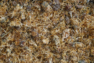 A Detailed Close-Up of Dried Calendula Flowers Spread Across a Surface, Showcasing Their Unique Texture and Color Variations