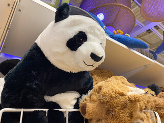 Stuffed panda and brown bear toys on display at toy store