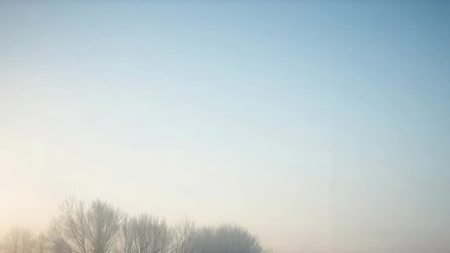 Pulling back camera exposing leafless trees in frosted field, revealing pale sky and fog