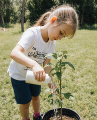Arbor Day, Growing Together Through Planting