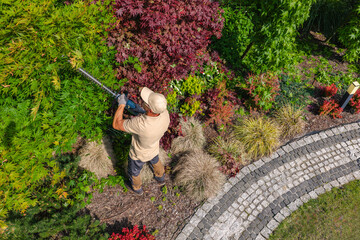 Gardener Trims Bushes in Colorful Garden During Daytime