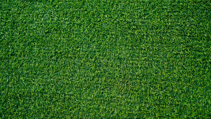 Obraz premium Green grass background, top view background of garden bright grass concept used for making green backdrop.