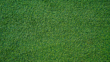 Fototapeta premium Green grass background, top view background of garden bright grass concept used for making green backdrop.