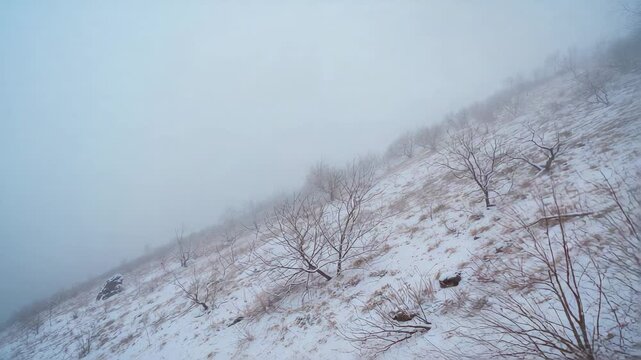 Rotating camera revealing leafless shrubs on snow-dusted hillside to show cairn, tussocks and fog