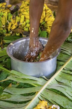 Local man, production of banana juice and banana schnapps, banana plantation, near Fort Portal, Uganda