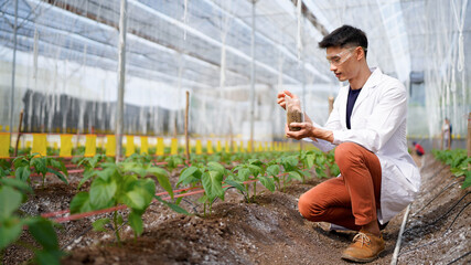 Researcher conducts soil analysis at a plant growth site to improve agricultural practices and...