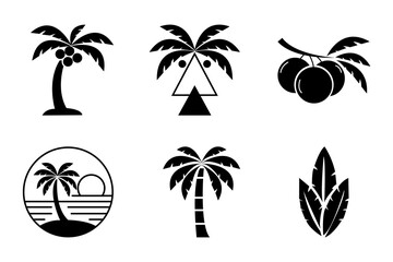 Palm trees and leaves silhouettes illustrations. Showcase various graphic resources related to tropical flora