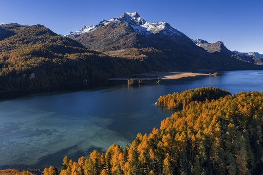 Mountain landscape, mountain lake, larch forest, autumn, autumn color, morning light, sunny, aerial view, Lake Sils, Engadin, Switzerland