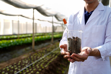 Asian man in lab coat and safety glasses putting soil sample into test tube doing research in greenhouse