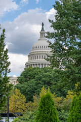 U.S. Capitol Dome Framed by Trees Under Cloudy Sky