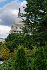 U.S. Capitol Dome Framed by Trees Under Cloudy Sky