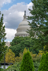 U.S. Capitol Dome Framed by Trees Under Cloudy Sky
