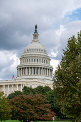 Obraz premium U.S. Capitol Dome Framed by Trees Under Cloudy Sky