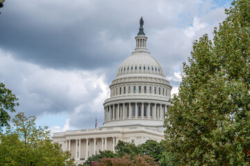Fototapeta premium U.S. Capitol Dome Framed by Trees Under Cloudy Sky