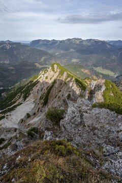 Mountain grade, Bayrischer Schinder, Tegernsee mountains in the Mangfall mountains, Germany