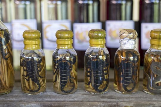 Choum, rice liquor, rice wine with pickled scorpions and snakes for sale, Laos