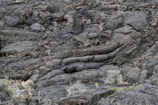 Lava structures, Costa Teguise, Lanzarote, Canary Islands, Spain