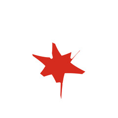 Canada Flag Splash Star In Icon