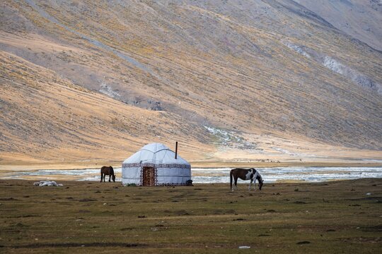Yurt and horse in the mountains, barren landscape, Burkhan Valley, Tien Shan, Issyk Kul Province, Kyrgyzstan