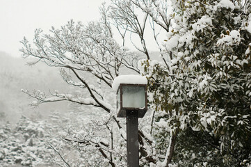 雪が降り積もる寒い冬の日の公園や山林の景色。雪化粧をした木々の間に立つ街灯