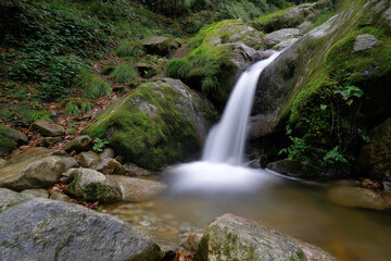 Obraz premium The stunning image of a waterfall cascading over moss-covered rocks evokes a sense of tranquility and connection with nature, showcasing the richness of the forest environment.