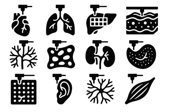 Layer fragment scaffold cartilage panel lobe organs bioprinted icon icons structure printed
