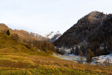 Naklejka premium mountain landscape in autumn