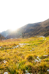 landscape in the mountains
