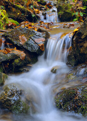 small waterfall in autumn forest