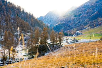 winter in the mountains