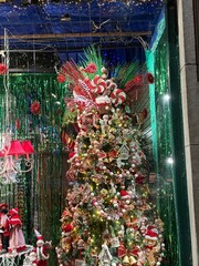 Winter season in Quebec City, Canada 