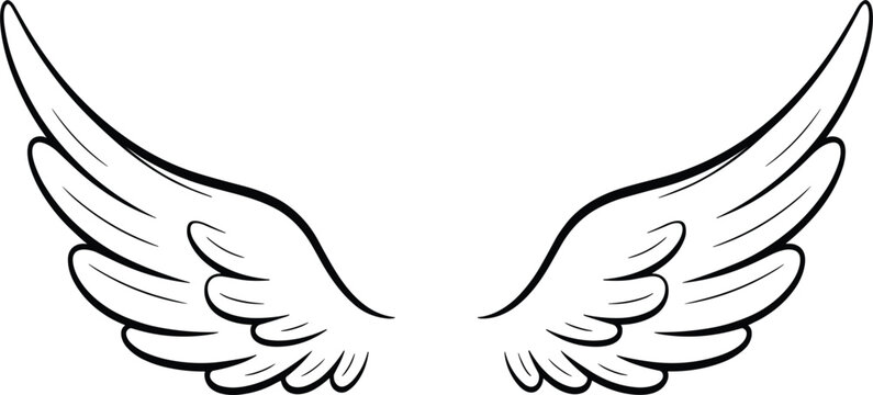 Stylized outline vector illustration of beautiful angel or bird wings, feather graphic design element, fly symbol