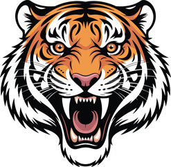 Fototapeta premium Fierce Tiger Head Vector with Open Mouth, Sharp Teeth, and Bold Black Stripes in Aggressive Forward-Facing Illustration.