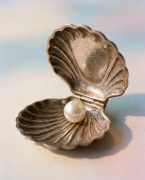 open shell with pearl