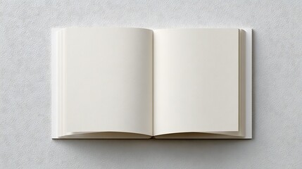 Fototapeta premium A simple flat lay of an open blank notebook on a textured white surface