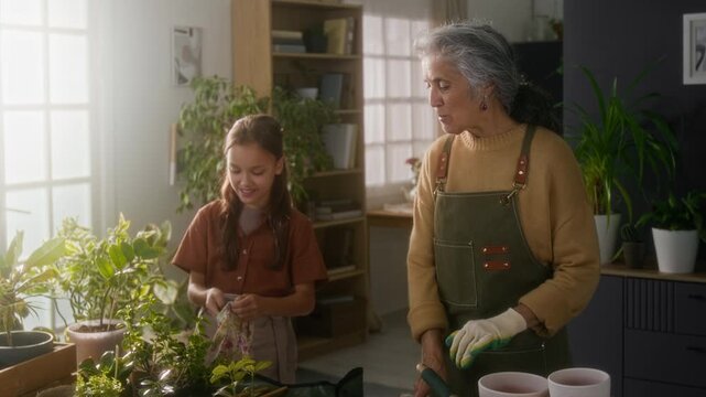 Medium long shot of senior Caucasian grandmother and granddaughter putting on gloves while preparing for gardening in flat