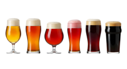 Variety of Craft Beers in Glasses on Transparent Background
