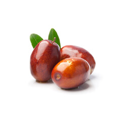 Jojoba with leaves and oil