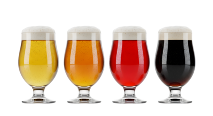Four Beer Glasses Showcasing Variety of Beer Types Isolated on transparent background