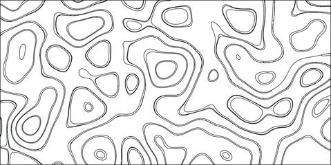 Black and white abstract topographic contour map pattern with thin, delicate, and irregular lines on a white background, perfect for minimalist graphic design, artistic textures, and subtle visual