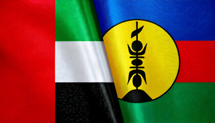 アラブ首長国連邦の国旗とニューカレドニアの国旗(United Arab Emirates flag & New Caledonia flag.)
